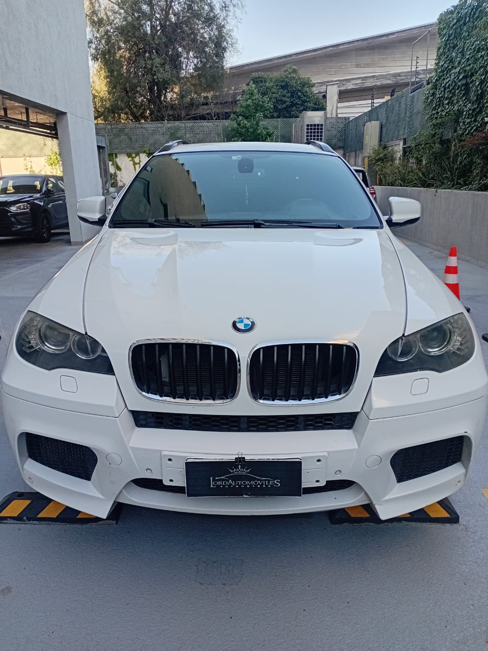 BMW X6 M 2010